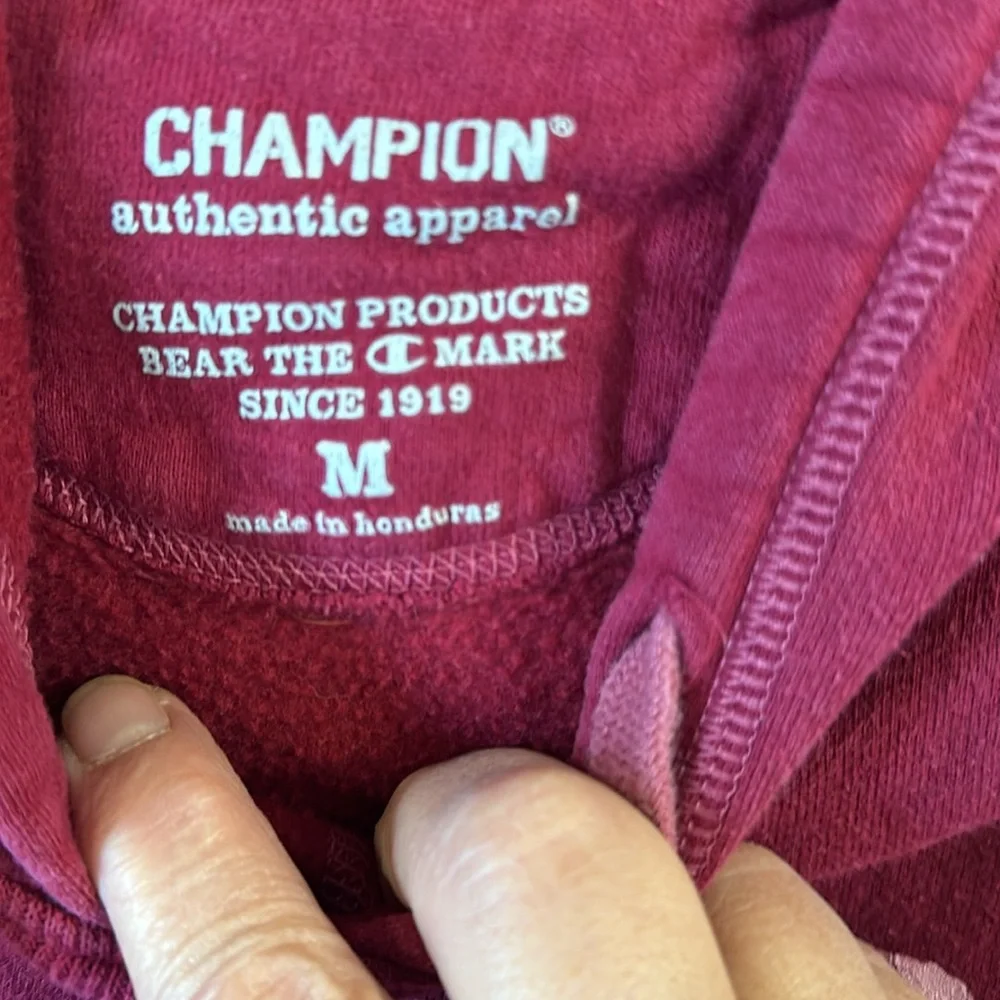 Champion hooded sweatshirt in size M - Picture 5 of 9